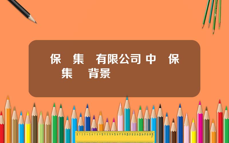 保華集團有限公司 中國保華集團 背景